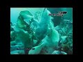 Wonderful underwater environment