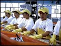 This video explains the process of catching and producing canned sardines.