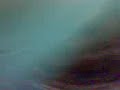 peleando mii priima ii iio!!haha
