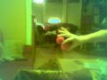 red balls triplic