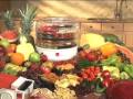 Ronco Food Dehydrator