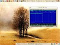 Kubuntu + Beryl