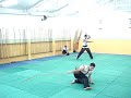 Show de armas - nova geração