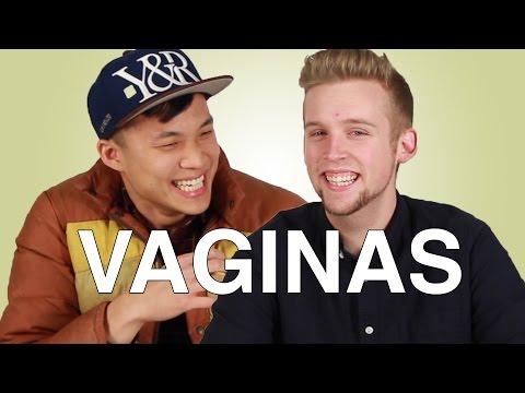 vagina