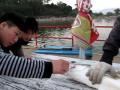 MVI 0148