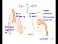 Respiratory Alkalosis compensated