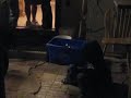 kid dancing like a Kane West Song