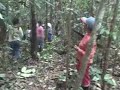 Jess uses a compass to direct women from San Antonio in a straight line as they clear the boundary of a forest in which they plan to plant Chambira.