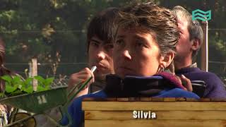 Huerta 4 - Cultivos. Huerta 4 - Cultivos.