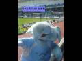 coventry city football club. play up sky blues fa cup winners