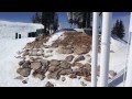 Skiing - Last Day @ Deer Valley - Park City, Utah ...