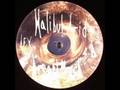 afx - halibut acid