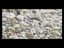 [English subs] Emotional Quran Recitation from Makkah Fajr Sheikh Khalid Ghamdi Surah Imraan