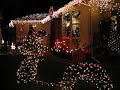 Schermerhorn Christmas Lights 2009 - Side