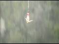 Bloukrans Bungy I Miest