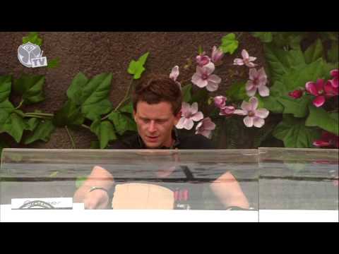 Fedde - Tomorrowland 2013 - Fedde Le Grand Subscribe here: http://youtube.com/TomorrowlandChannel Discover our second home: http://tomorrowworld.com/buy-tickets http...