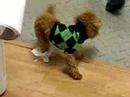 Loki Booties