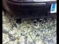 Golf 4 V5 \"Ernst Motorsport Edelstahl\"