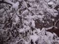 historica nieve colbun