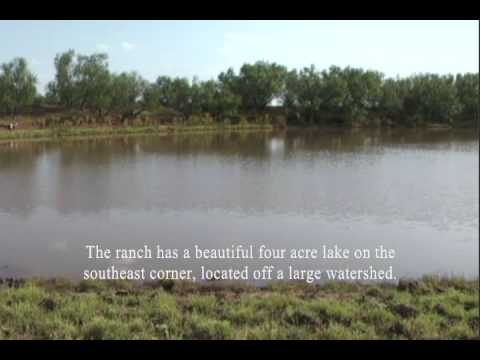 561 acres Thalia, TX