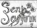 SEN� �OK SEV�YORUM