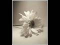 videos de Men and Women in Islam part 7