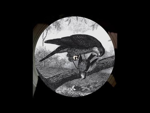 Karma Kid - Bird Of Prey