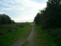 Aran in draf