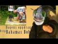 videos de Bahamas Jul: Episode 2...