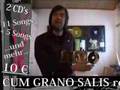 Fire in the Attic - Cum Grano Salis - Commercial
