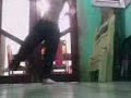 Viih - rebolation
