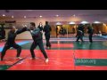 Keto no kata - 1st level Gyokko ryu for Akban wiki