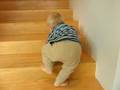 Ted masters the stairs