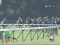 2008年9月13日 中山2R ２歳未勝利 マイヨール