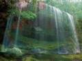 Nature - YouTube