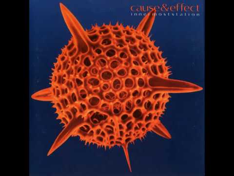 Cause & Effect - Real