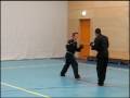 Shaolin Kempo zevena