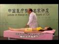 Stomachache and Hiccup: Lectures on Massage by Famous Experts 