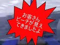 ?????????????? ??????????????