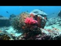Bali Diving - Trip to Nusa Penida