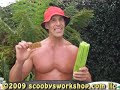 Reading Nutritional Labels