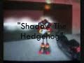 Grand Theft Auto Vice City Hedgehog¨s