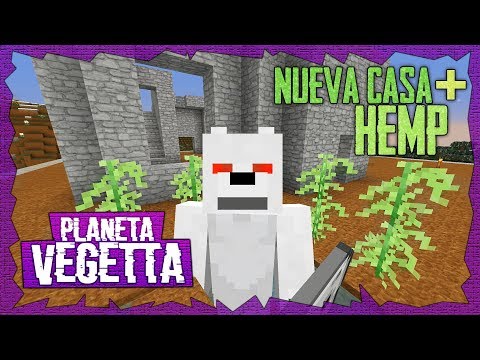 Vegetta777 (Pagina Oficial) - * HOY EN PLANETA VEGETTA