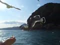 Seagulls vs. Black-tailed gulls??????????????????????????? Seagulls vs. Black-tailed gulls???????????????????????????
