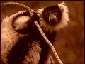 HOTSPOTS: The Feature Film - Trailer