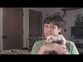 What to consider when getting a ferret.