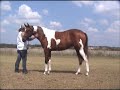 RFF Moonlight Standing