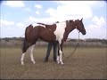 RFF Moonlight Standing