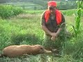 Deer Hunting Long Range Style Deer Hunting Long Range Style