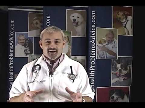 how to treat sneezing